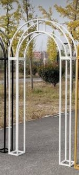 تصویر  بک گنبدی طاق کسری طلایی